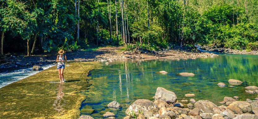 Black River Gorges National Park